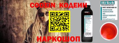 МДПВ Кингисепп