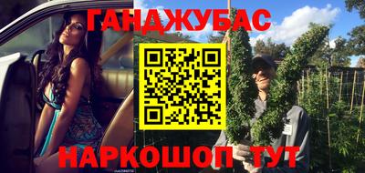 МДПВ Кингисепп