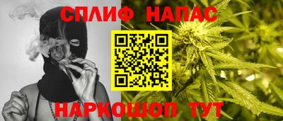 МДПВ Кингисепп