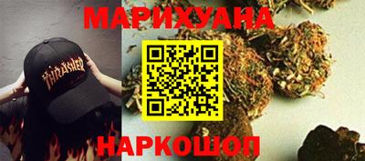 МДПВ Кингисепп