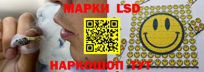 сатива Кинель