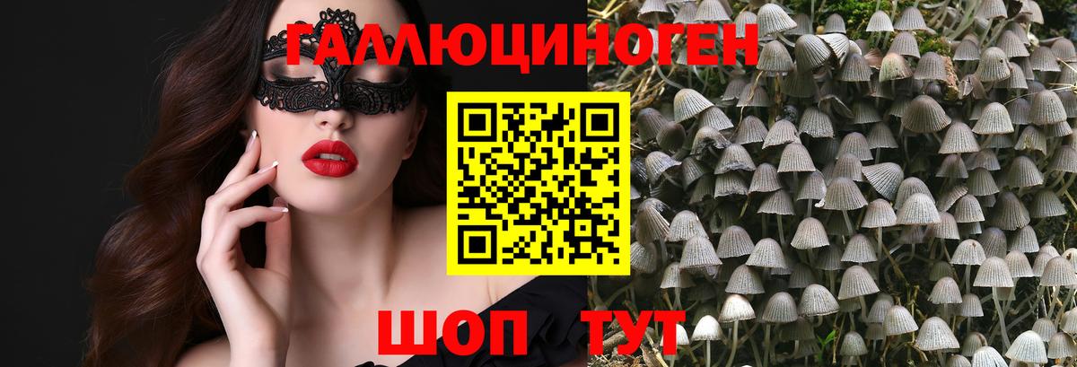 Псилоцибиновые грибы мухоморы Ульяновск
