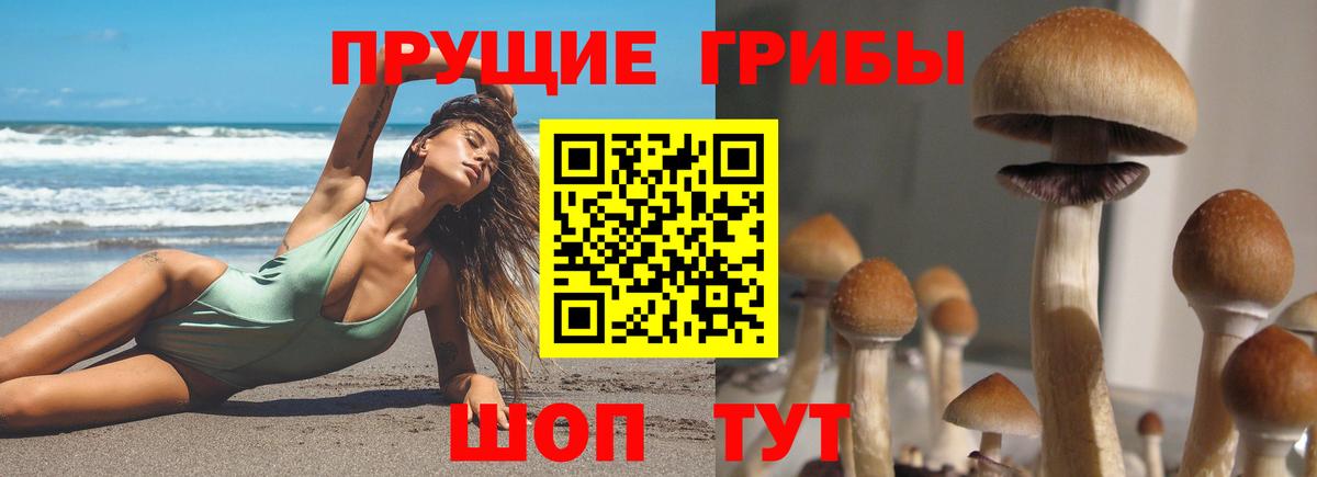 Псилоцибиновые грибы GOLDEN TEACHER  Вход с VPN  Ульяновск  Галлюциногенные грибы MAGIC MUSHROOMS 